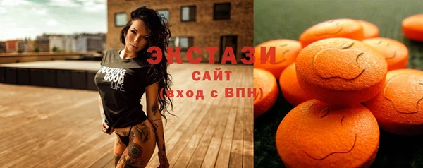 шишки Горно-Алтайск