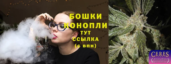 шишки Горно-Алтайск