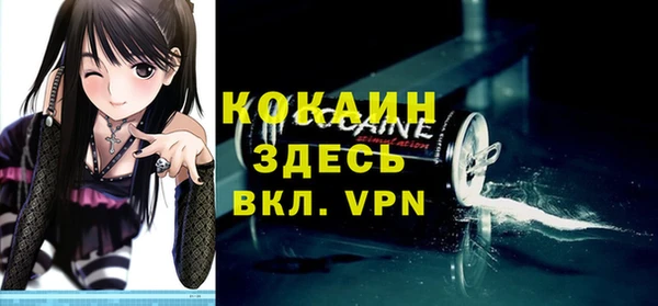 шишки Горно-Алтайск