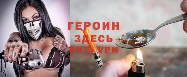 шишки Горно-Алтайск