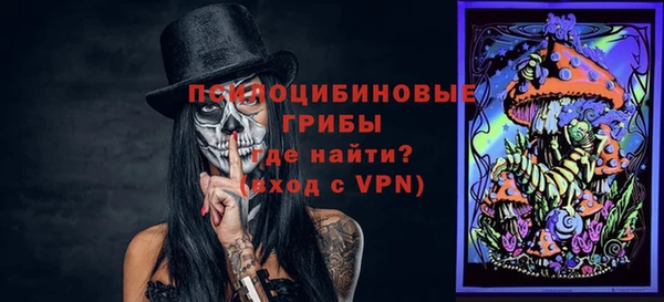 шишки Горно-Алтайск