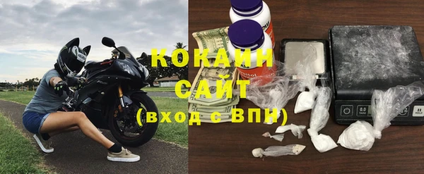 шишки Горно-Алтайск
